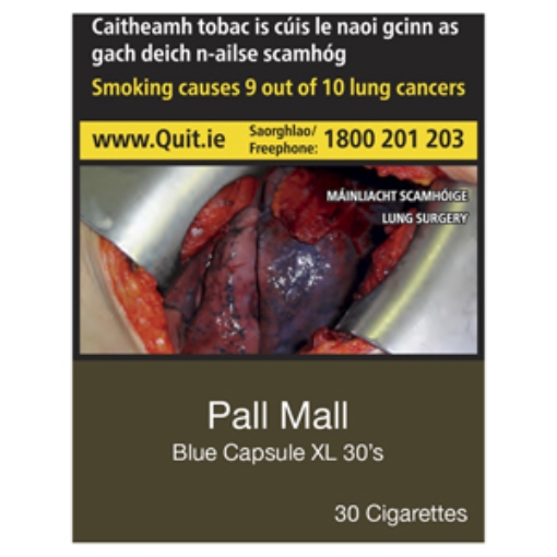 Picture of Pall Mall KS Blue  XL 30S  X8