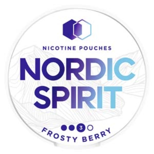 Picture of Nordic Spirit Frosty Berry Pouch Strong 3D  9mg 20